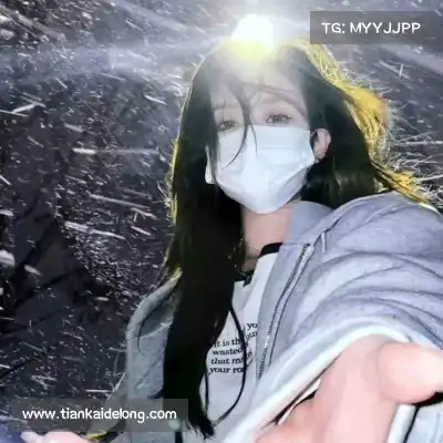 云维燕