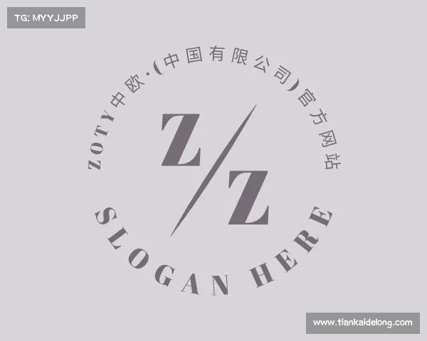 关于zoty中欧·(中国有限公司)官方网站
